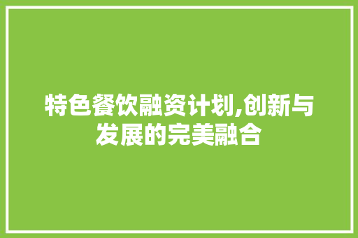特色餐饮融资计划,创新与发展的完美融合