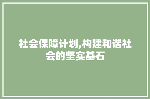 社会保障计划,构建和谐社会的坚实基石