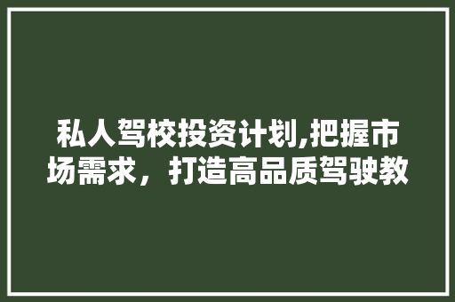私人驾校投资计划,把握市场需求，打造高品质驾驶教育品牌