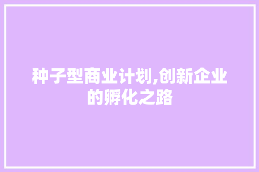 种子型商业计划,创新企业的孵化之路
