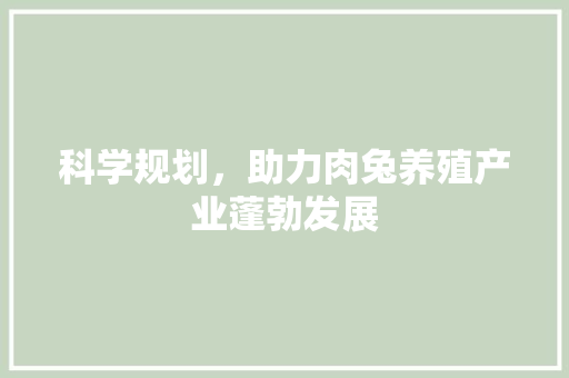 科学规划，助力肉兔养殖产业蓬勃发展