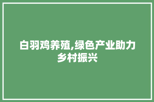 白羽鸡养殖,绿色产业助力乡村振兴