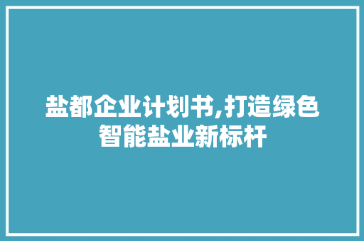 盐都企业计划书,打造绿色智能盐业新标杆