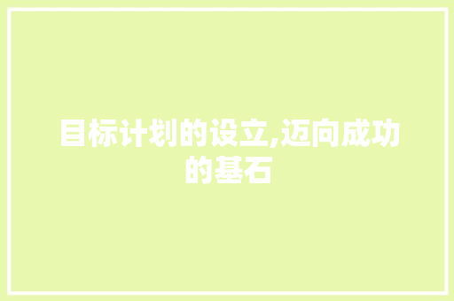 目标计划的设立,迈向成功的基石
