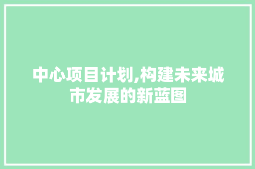 中心项目计划,构建未来城市发展的新蓝图