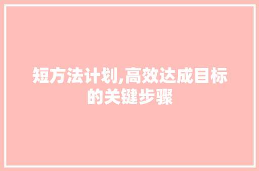 短方法计划,高效达成目标的关键步骤
