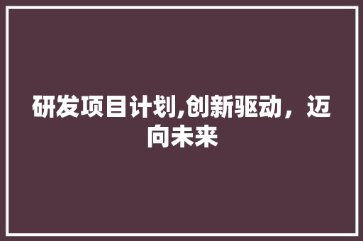 研发项目计划,创新驱动，迈向未来