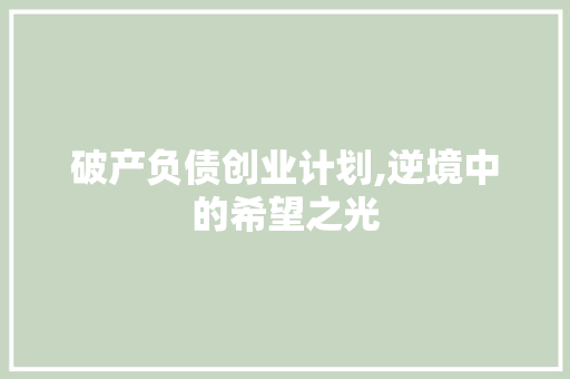 破产负债创业计划,逆境中的希望之光