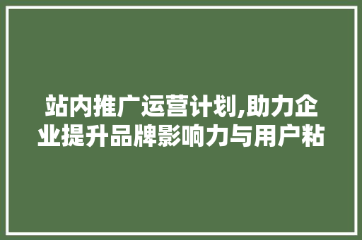 站内推广运营计划,助力企业提升品牌影响力与用户粘性