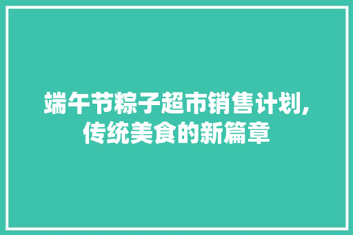 端午节粽子超市销售计划,传统美食的新篇章