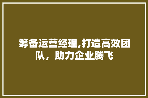 筹备运营经理,打造高效团队，助力企业腾飞