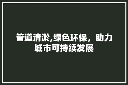 管道清淤,绿色环保，助力城市可持续发展