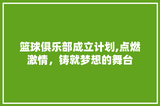 篮球俱乐部成立计划,点燃激情，铸就梦想的舞台