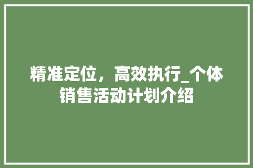 精准定位，高效执行_个体销售活动计划介绍