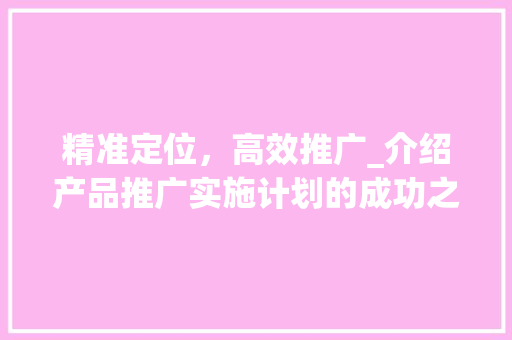 精准定位，高效推广_介绍产品推广实施计划的成功之路
