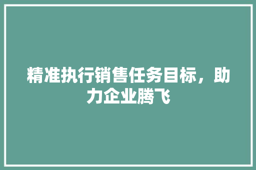 精准执行销售任务目标，助力企业腾飞