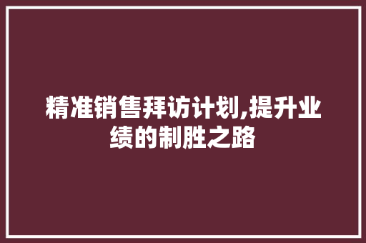 精准销售拜访计划,提升业绩的制胜之路