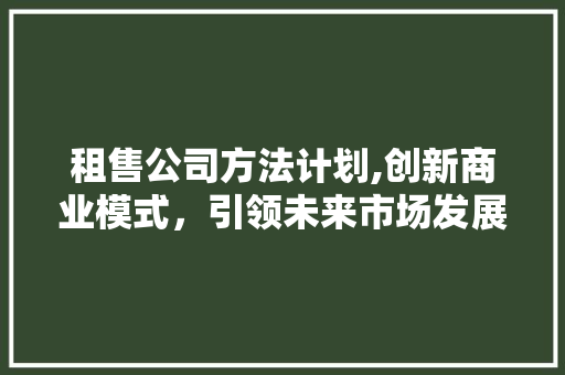 租售公司方法计划,创新商业模式，引领未来市场发展