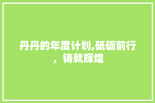 丹丹的年度计划,砥砺前行，铸就辉煌