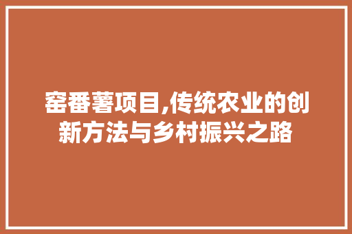 窑番薯项目,传统农业的创新方法与乡村振兴之路