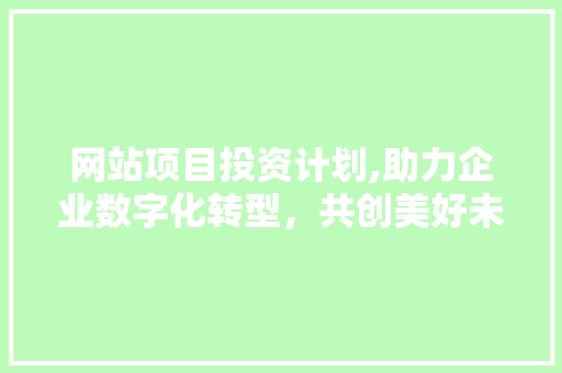 网站项目投资计划,助力企业数字化转型，共创美好未来