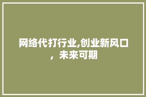 网络代打行业,创业新风口，未来可期
