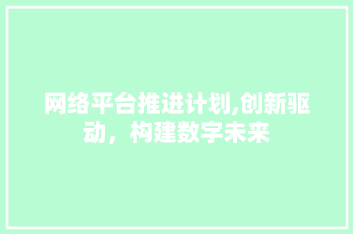 网络平台推进计划,创新驱动，构建数字未来