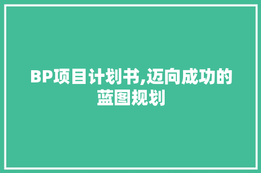 BP项目计划书,迈向成功的蓝图规划