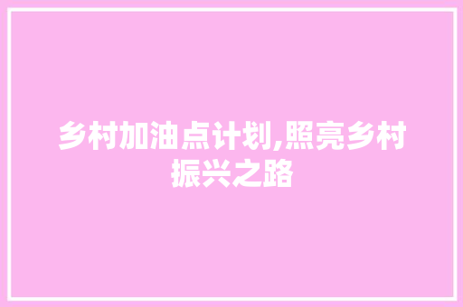 乡村加油点计划,照亮乡村振兴之路