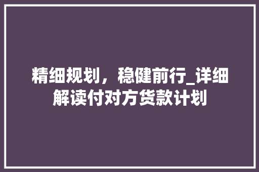 精细规划，稳健前行_详细解读付对方货款计划