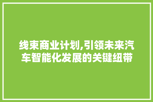 线束商业计划,引领未来汽车智能化发展的关键纽带 工作计划