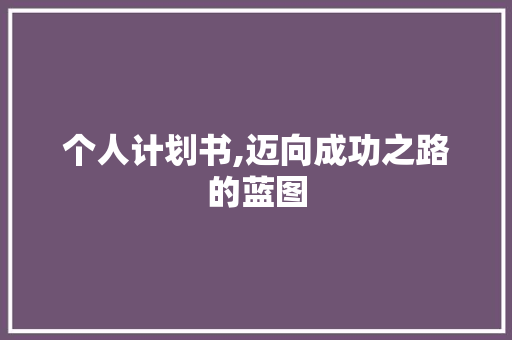 个人计划书,迈向成功之路的蓝图