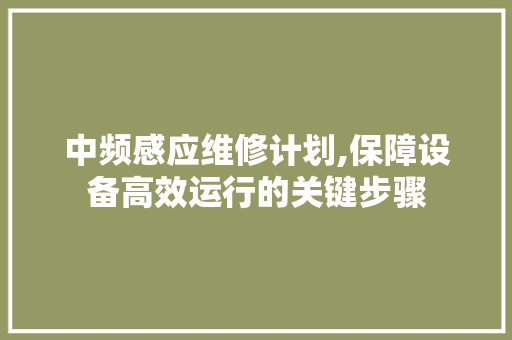 中频感应维修计划,保障设备高效运行的关键步骤