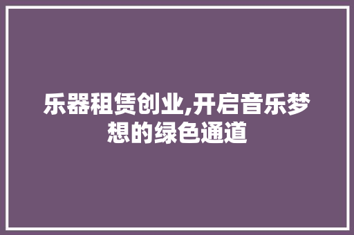 乐器租赁创业,开启音乐梦想的绿色通道
