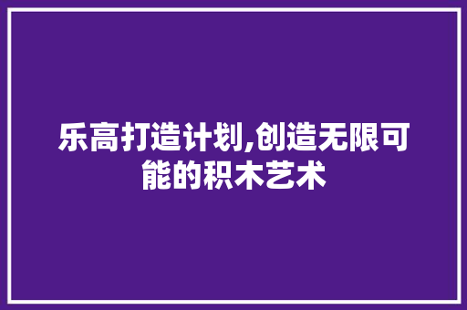乐高打造计划,创造无限可能的积木艺术
