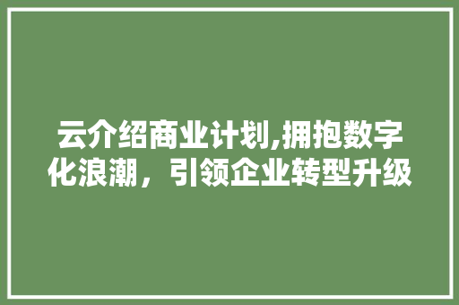 云介绍商业计划,拥抱数字化浪潮，引领企业转型升级