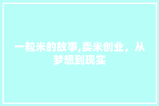 一粒米的故事,卖米创业，从梦想到现实