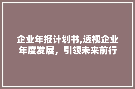 企业年报计划书,透视企业年度发展，引领未来前行