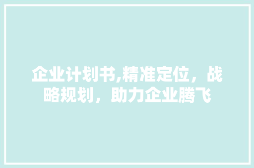 企业计划书,精准定位，战略规划，助力企业腾飞