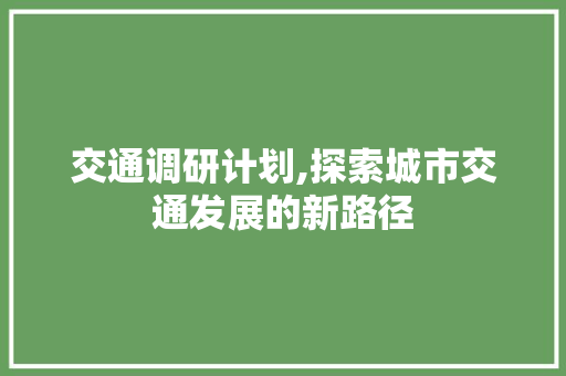 交通调研计划,探索城市交通发展的新路径