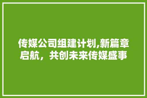 传媒公司组建计划,新篇章启航，共创未来传媒盛事