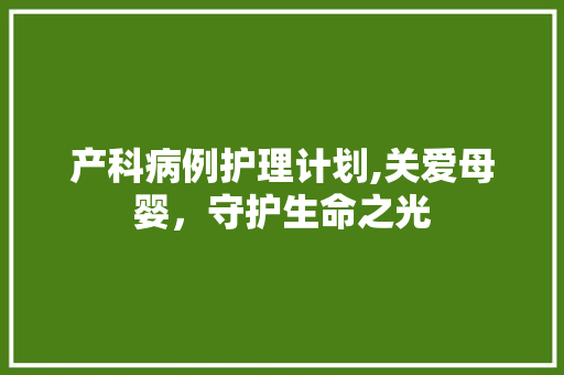 产科病例护理计划,关爱母婴，守护生命之光