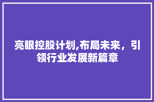 亮眼控股计划,布局未来，引领行业发展新篇章
