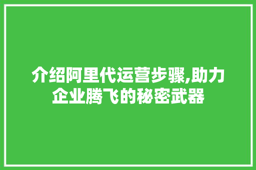 介绍阿里代运营步骤,助力企业腾飞的秘密武器