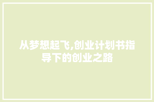 从梦想起飞,创业计划书指导下的创业之路