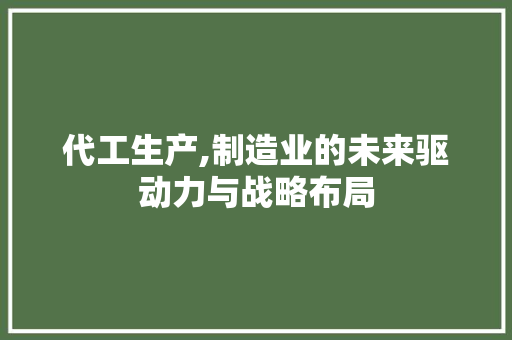 代工生产,制造业的未来驱动力与战略布局