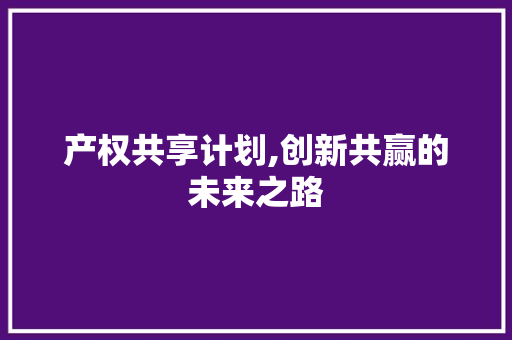产权共享计划,创新共赢的未来之路