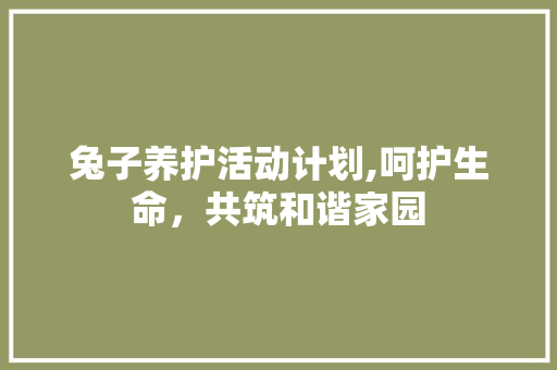 兔子养护活动计划,呵护生命，共筑和谐家园