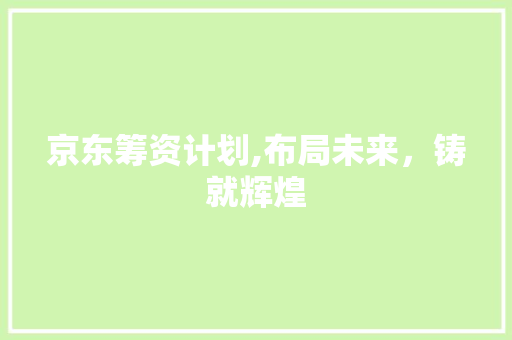京东筹资计划,布局未来，铸就辉煌