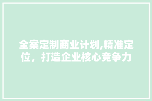 全案定制商业计划,精准定位，打造企业核心竞争力 诗词鉴赏